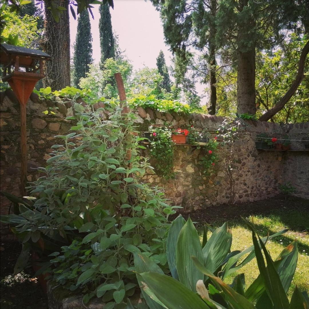 Apartamento La Casa Di Marzia Bardolino Exterior foto